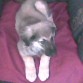acostadita en el sofa